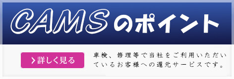 カムズポイント